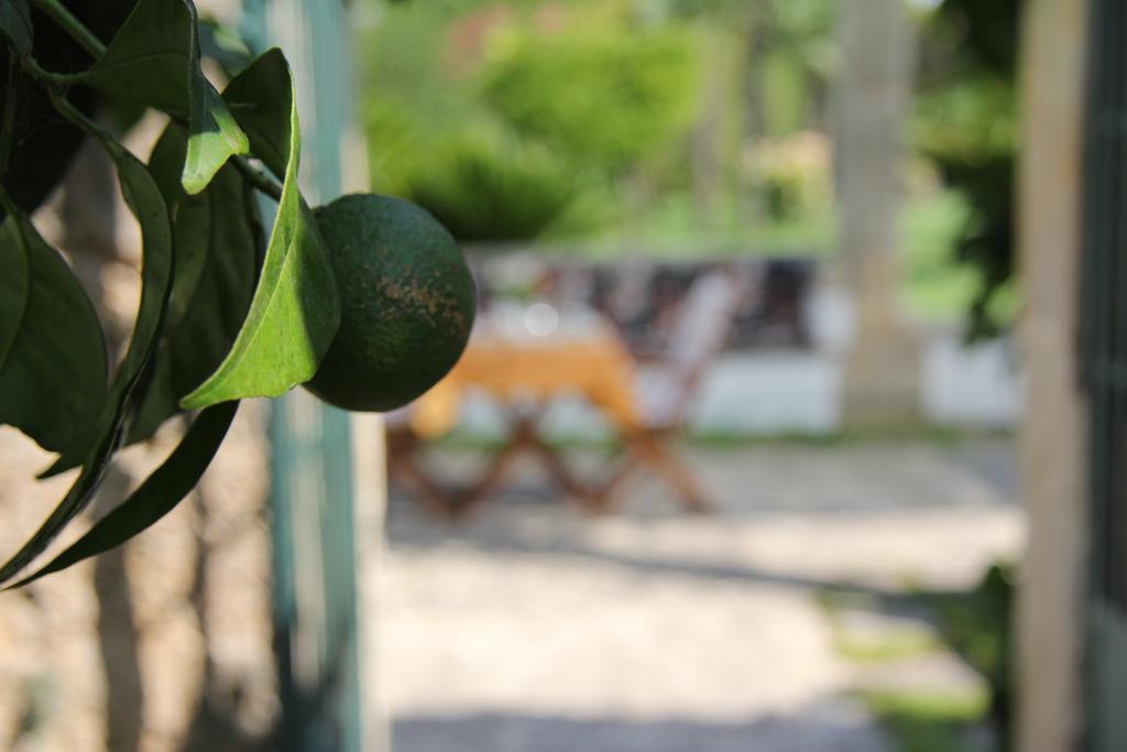 Parco Degli Aranci Acomodação com café da manhã Cutrofiano Exterior foto